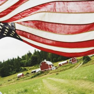 12 Memorial Day Ideas to Enjoy With the Entire Family