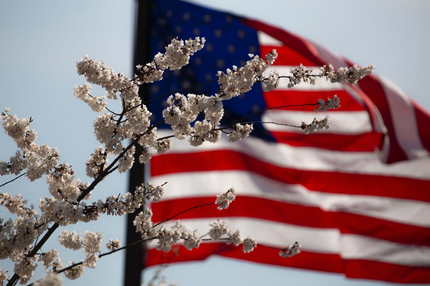 Memorial Day Events Around Grapevine, Flower Mound and More! Minteer